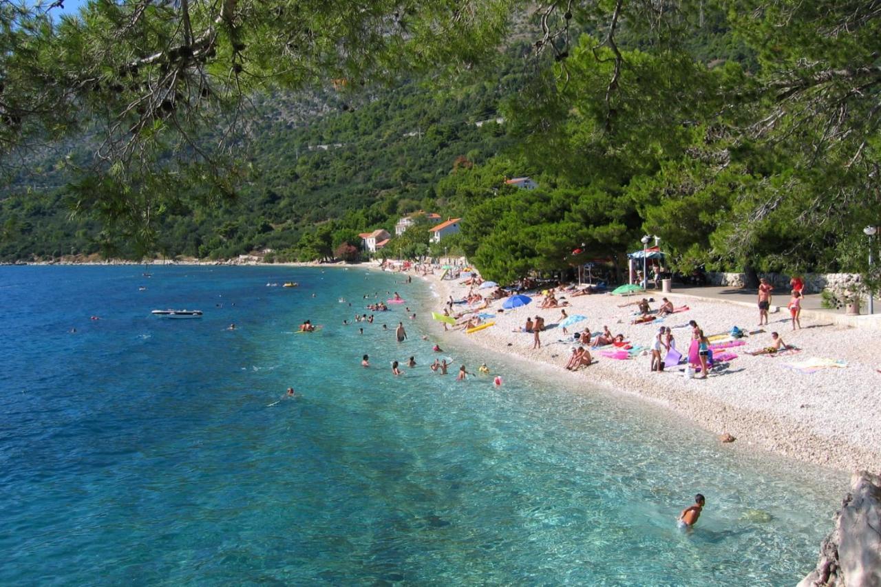 Apartments By The Sea Zivogosce - Porat, Makarska - 20207 Igrane Εξωτερικό φωτογραφία