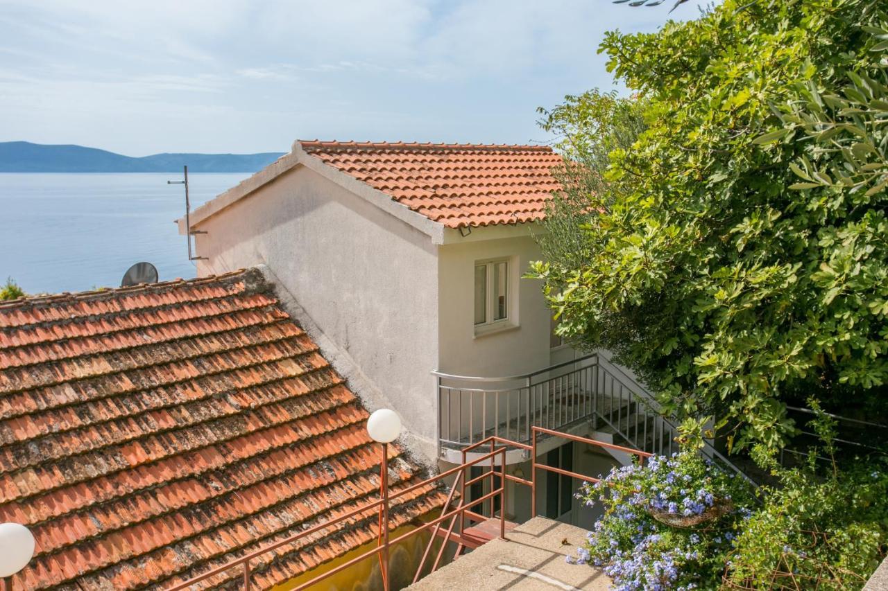 Apartments By The Sea Zivogosce - Porat, Makarska - 20207 Igrane Εξωτερικό φωτογραφία
