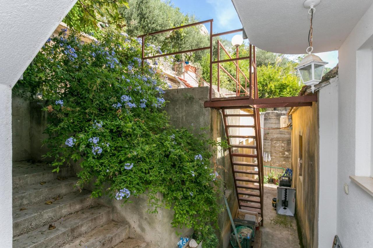 Apartments By The Sea Zivogosce - Porat, Makarska - 20207 Igrane Εξωτερικό φωτογραφία