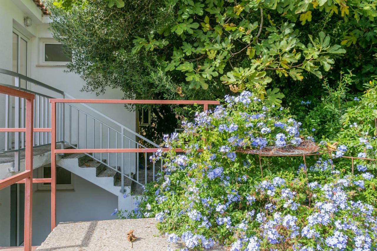 Apartments By The Sea Zivogosce - Porat, Makarska - 20207 Igrane Εξωτερικό φωτογραφία